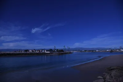 DSC_0856 (Large).JPG